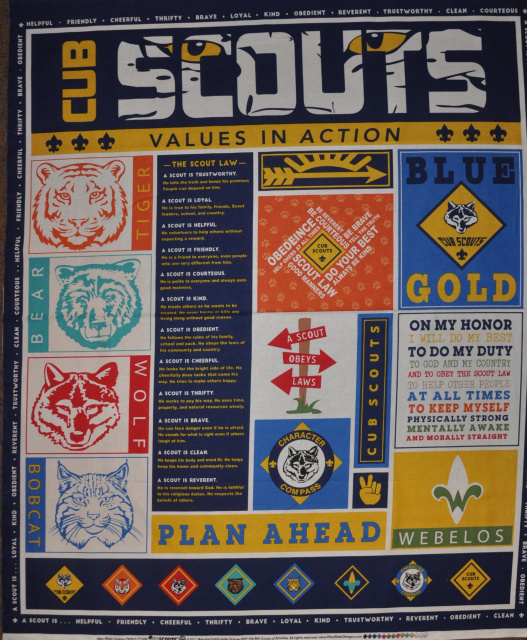 Cub Scout Panel